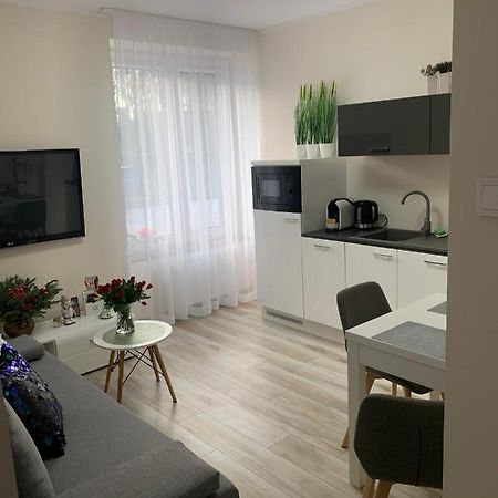 Apartament Walczaka 11 Miejsce Parkingowe ゴジュフ・ヴィエルコポルスキ エクステリア 写真