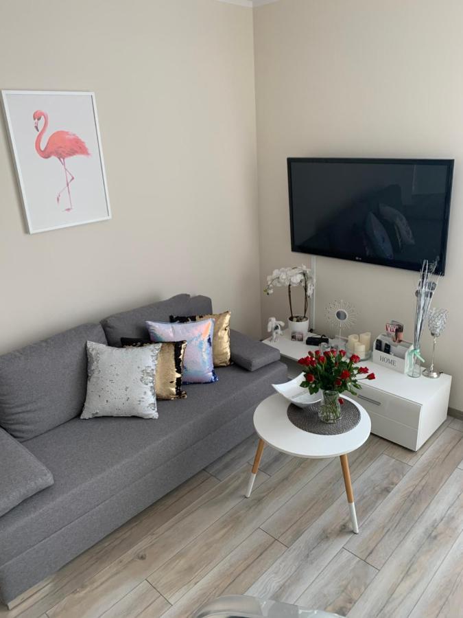 Apartament Walczaka 11 Miejsce Parkingowe ゴジュフ・ヴィエルコポルスキ エクステリア 写真