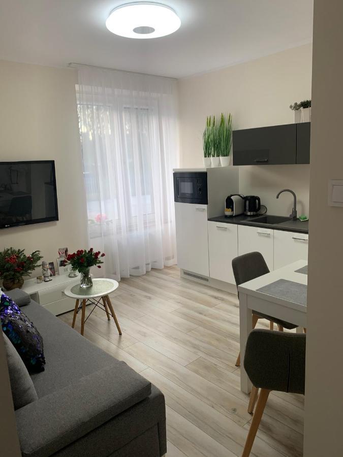 Apartament Walczaka 11 Miejsce Parkingowe ゴジュフ・ヴィエルコポルスキ エクステリア 写真