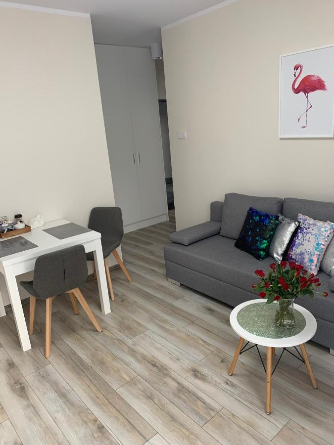 Apartament Walczaka 11 Miejsce Parkingowe ゴジュフ・ヴィエルコポルスキ エクステリア 写真